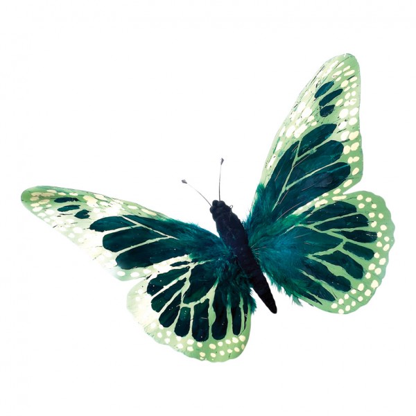 Schmetterling 45x75 cm Federn