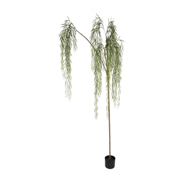 Weidenbaum im Topf, Topf 15x13,5cm, 215cm, Kunststoff