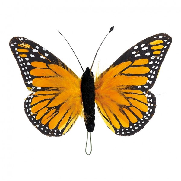 Schmetterling 13x20 cm Federn