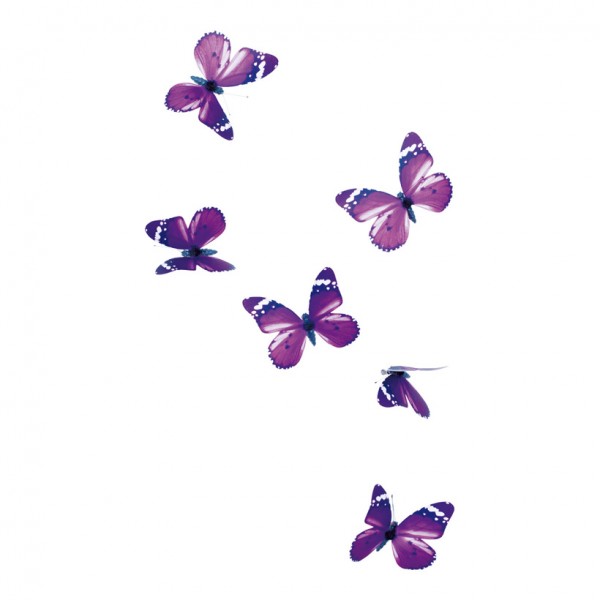 Schmetterlinge mit Clip, 11cm, 6Stck./Box, PVC-Folie
