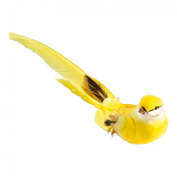 Vogel mit Clip, 4x24cm, Styrofoam/Federn