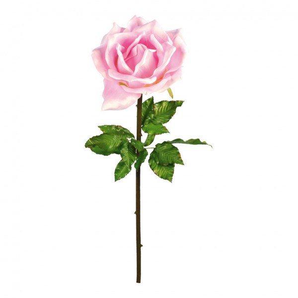 Rose, Ø 50cm, 135cm, Kunstseide