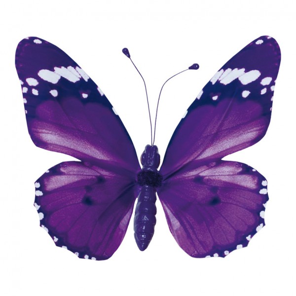 Schmetterling mit Clip, 20x30cm, PVC-Folie