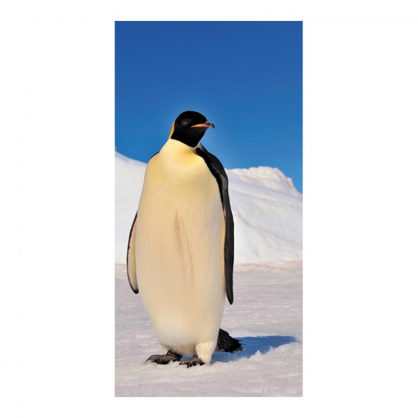 Motivdruck "Pinguin", 180x90cm Papier