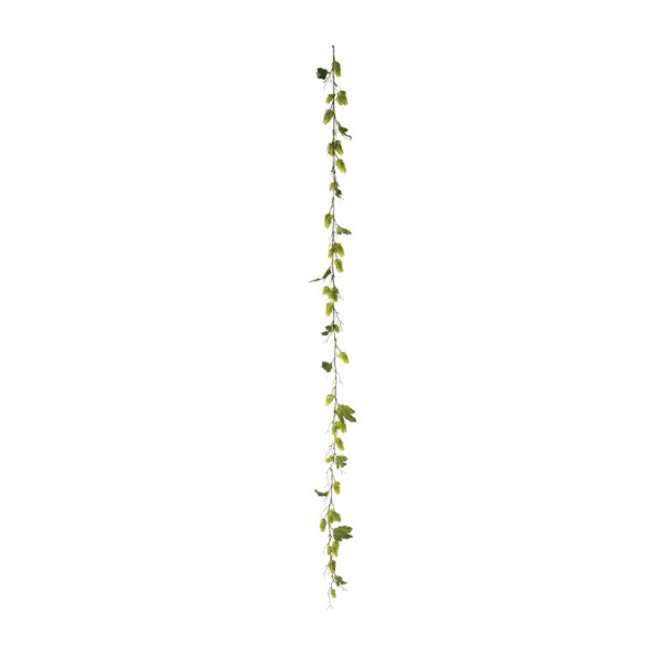 Hopfengirlande, 180cm 48-fach, mit 12 Blätter